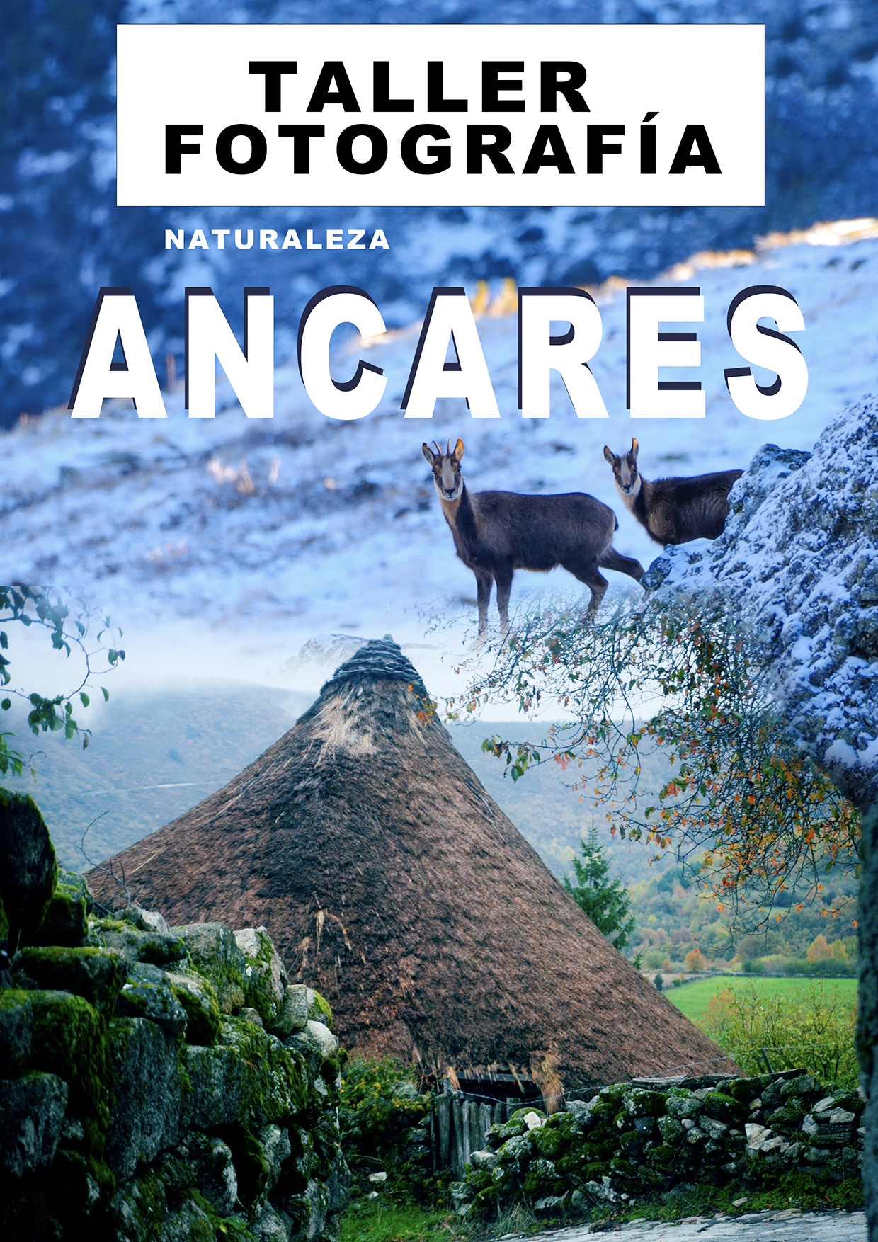 TALLER DE ANCARES
